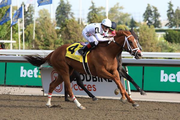 Caitlinhergrtness, King's Plate, Woodbine, America's Best Racing, horse racing, ABR